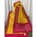 PASKILWS5Y10XEDC22- light weight Ikat silk saree