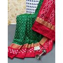 PRMHIDSS5Y10TSDC17- Ikat silk saree