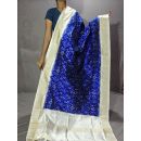 PGMRISDP5Y19ECDC08- Ikat Silk dupatta