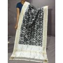 PGMRISDP5Y19ECDC68- Ikat Silk dupatta