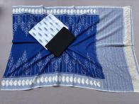 PSSIC3PS5Y02IZSC06- Double ikat cotton salwar set