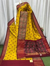 PASKIDSS5A09NIDD06- Ikat silk saree
