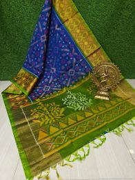 PURRISCS5Y04EECC12- Ikat Sico saree