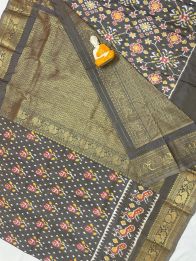 PGMRKBRS5Y06FSDC21- Kanchi border Ikat silk saree