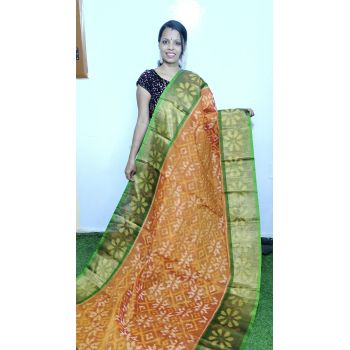 PGMRISCS5Y07EECD34- Ikat Sico saree