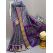 PSNTKBIP5Y04DSCD15- Kanchi border Ikat silk saree