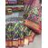 PGMRIDSS5Y06BICD01- Ikat silk saree