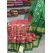PGMRIDSS5Y06BICD03- Ikat silk saree