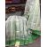 PGMRIDSS5Y06BICD11- Ikat silk saree