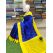 PSRHIDSS5Y05BZCD01- Ikat silk saree