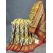 PGMRIDSS5Y21NTCD10- Full tissue Ikat silk saree