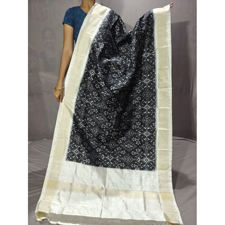 PGMRISDP5Y19ECDC22- Ikat Silk dupatta