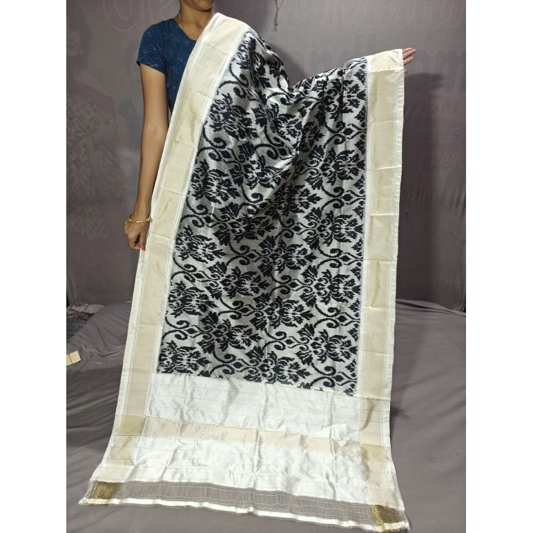 PGMRISDP5Y19ECDC68- Ikat Silk dupatta