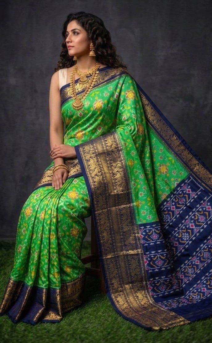 Kanchi border ikat pallu saree - PDLSY23-KBIPIDBDC-11