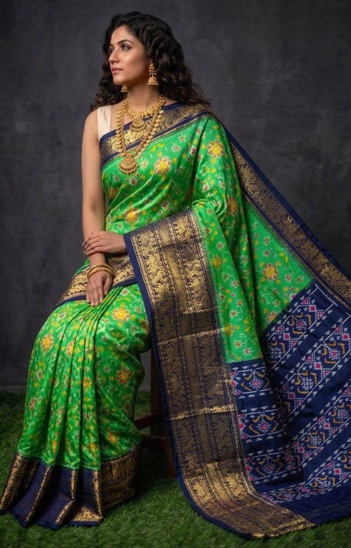 Kanchi border ikat pallu saree - PDLSY30-KBIPIDBDC-03