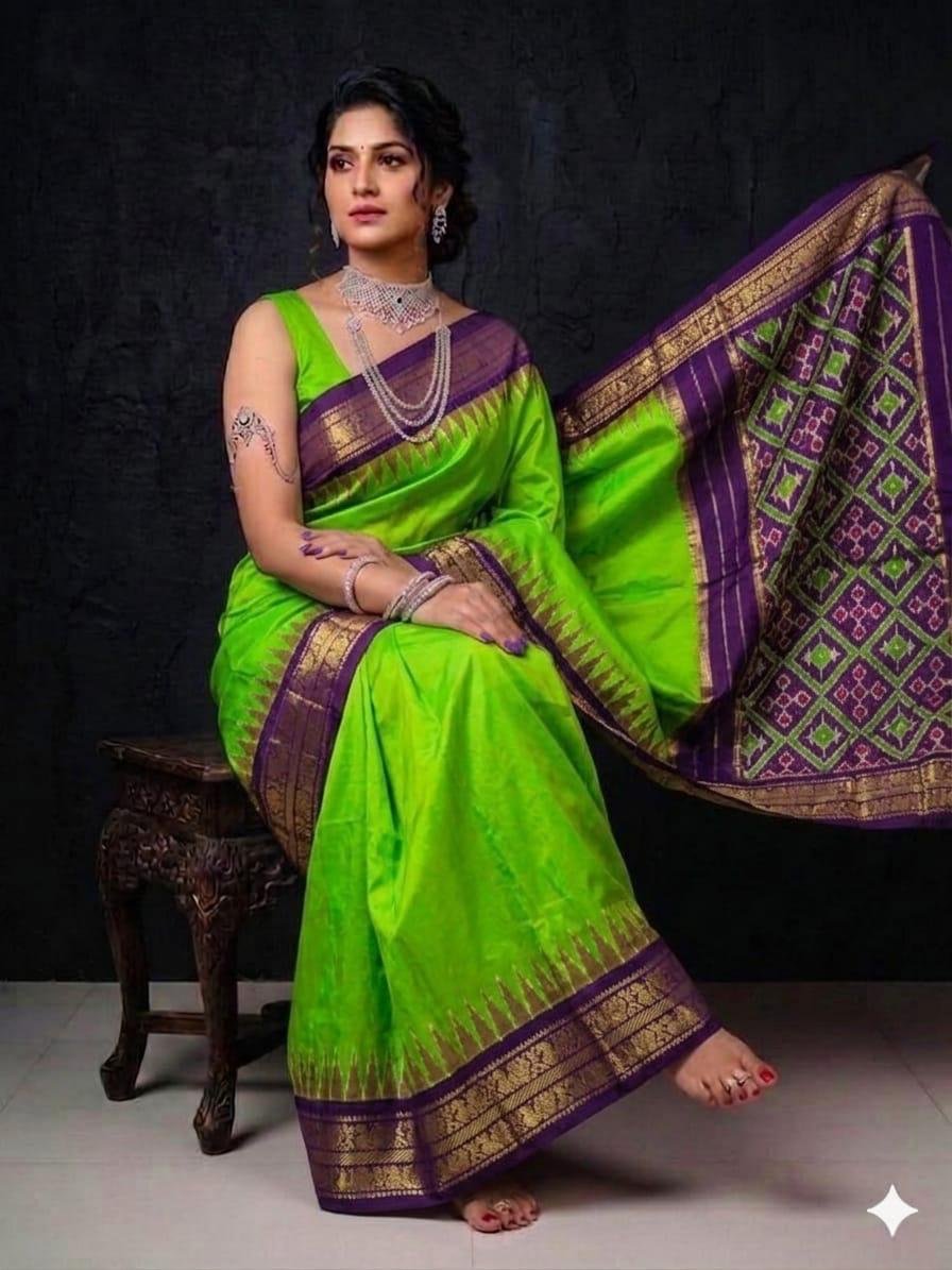 Kanchi border ikat pallu saree - PSRGY20-KBIPDNFDC-03