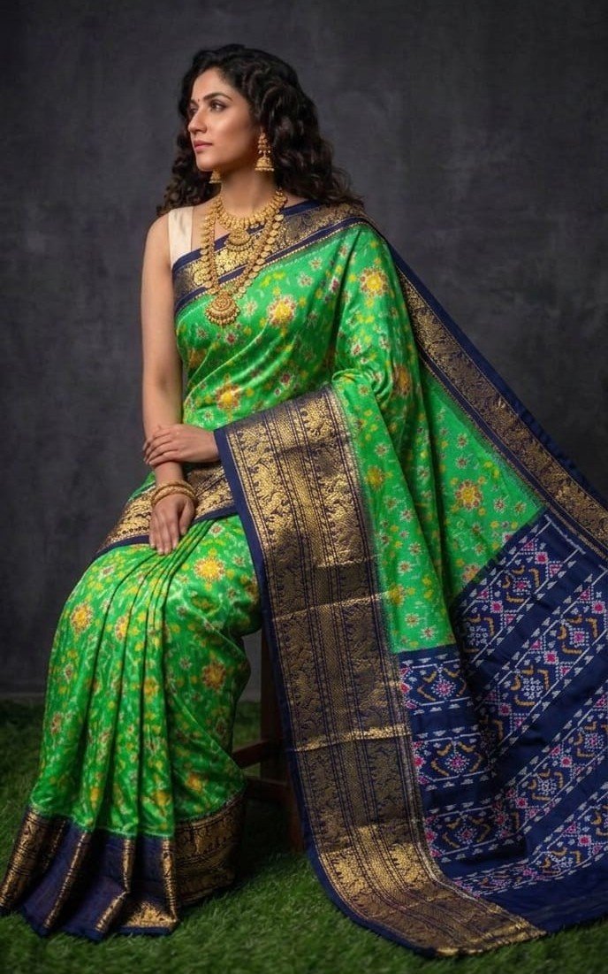 Kanchi Border Ikat - PDLSL23-KBIPIICDC-06