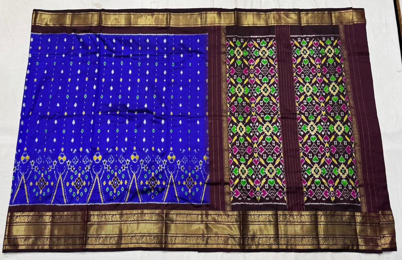 Kanchi Border Ikat - PSNTL27-KBIPIIDCD-11