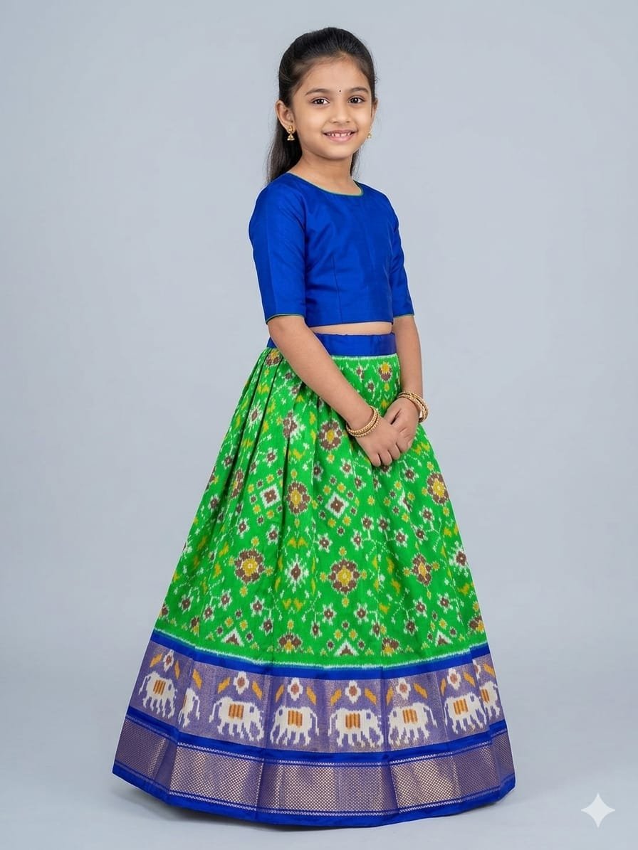 Silk Lehenga - PSSIS28-MSLGDEBDC-06